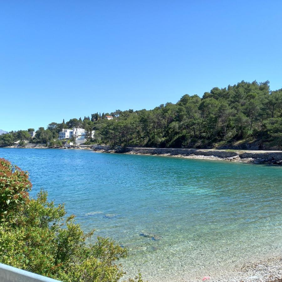 Villa Kuca Za Odmor Skalina - Sea View à Splitska Extérieur photo