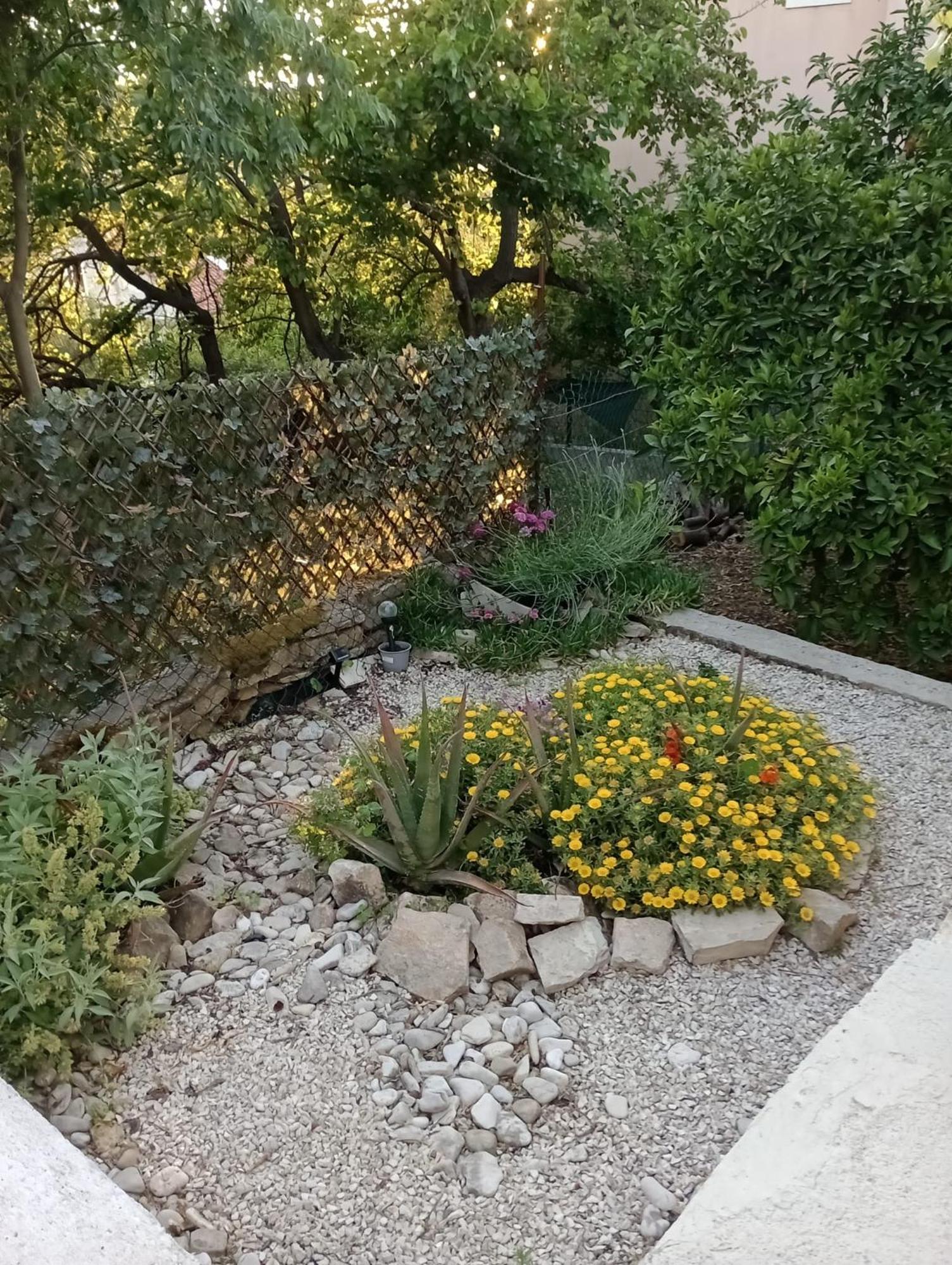 Villa Kuca Za Odmor Skalina - Sea View à Splitska Extérieur photo